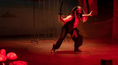 En busca del Pirata Barbanegra · La Pandilla de Drilo